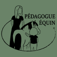 centre pédagogie équine cheval relation améliorer partager méthode formation