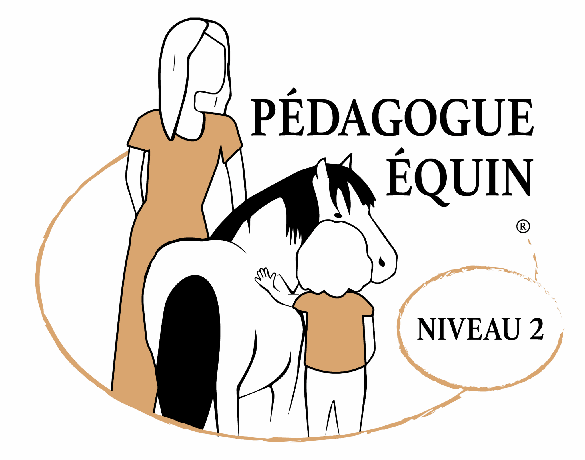 centre pédagogie équine cheval relation améliorer partager méthode formation