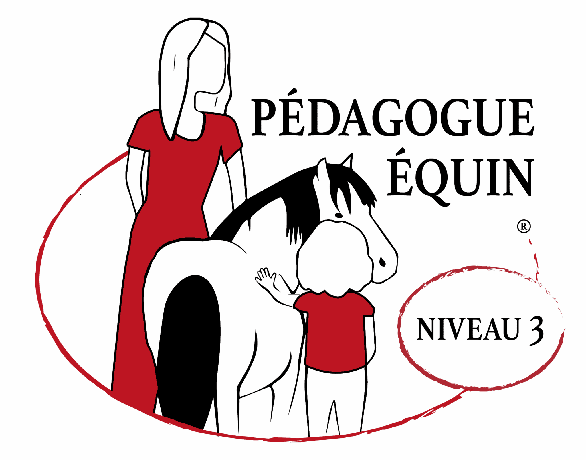 centre pédagogie équine cheval relation améliorer partager méthode formation