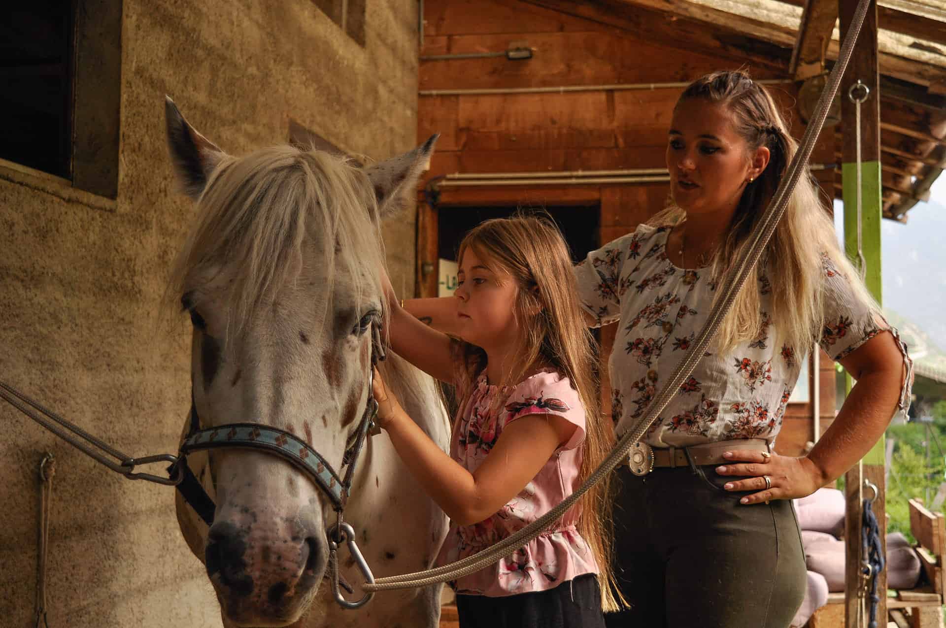 centre pédagogie équine cheval relation améliorer partager méthode formation