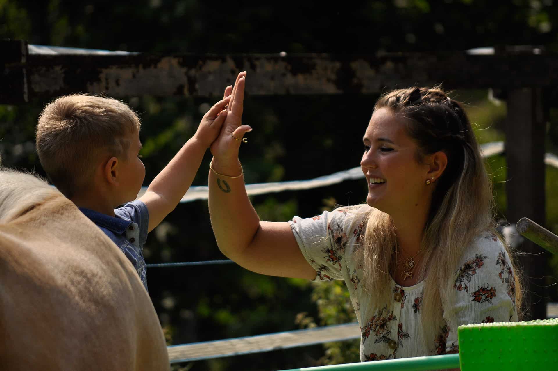 centre pédagogie équine cheval relation améliorer partager méthode formation